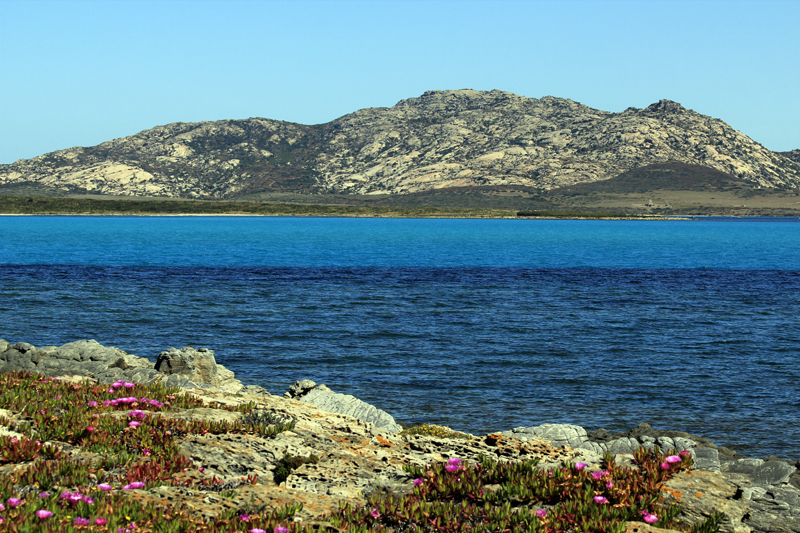 2016-04-29_112830 sardinien-2016.jpg - Isola Asinara